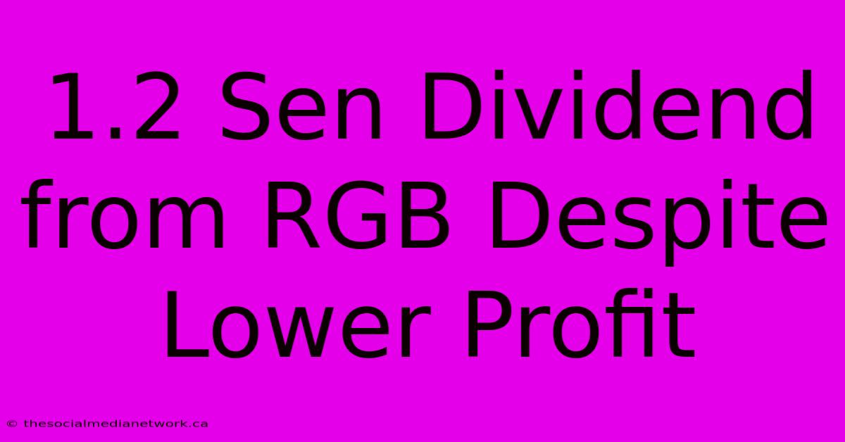 1.2 Sen Dividend From RGB Despite Lower Profit