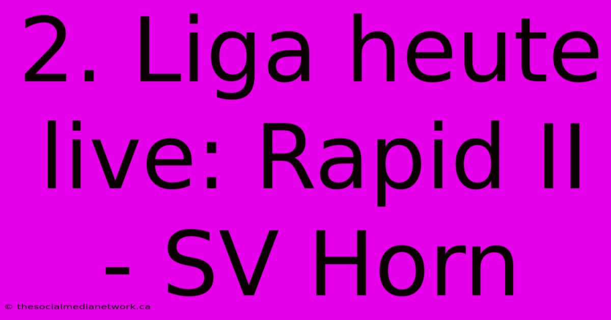 2. Liga Heute Live: Rapid II - SV Horn