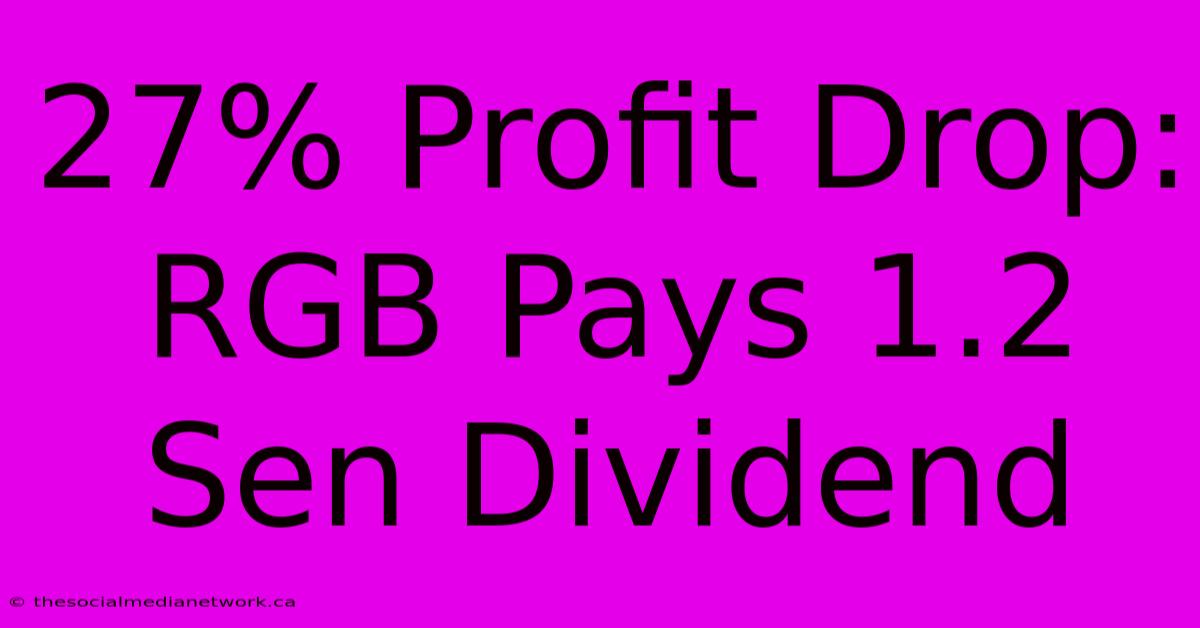 27% Profit Drop: RGB Pays 1.2 Sen Dividend