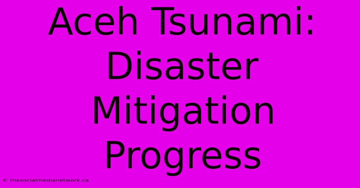 Aceh Tsunami: Disaster Mitigation Progress