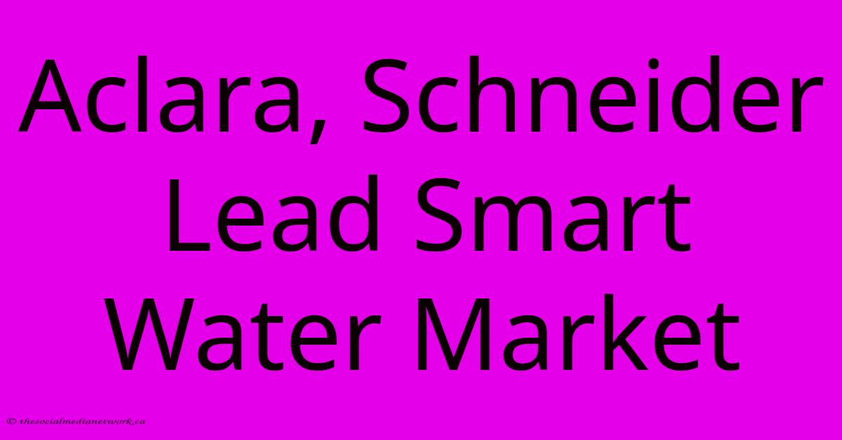 Aclara, Schneider Lead Smart Water Market Aclara, Schneider Lead Smart Water Market