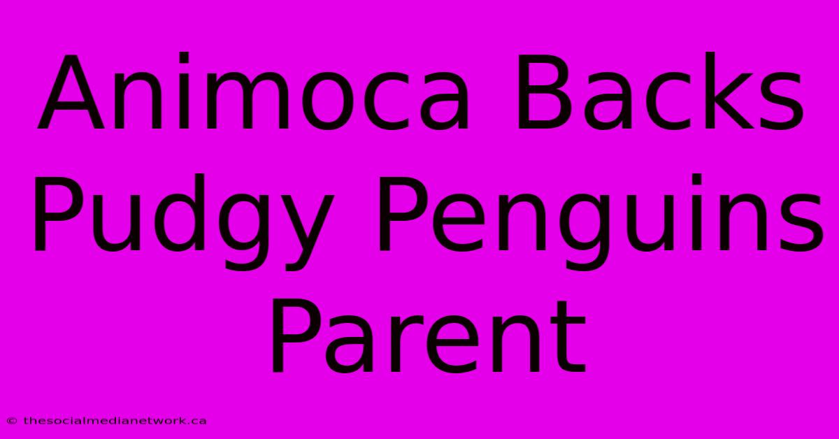 Animoca Backs Pudgy Penguins Parent