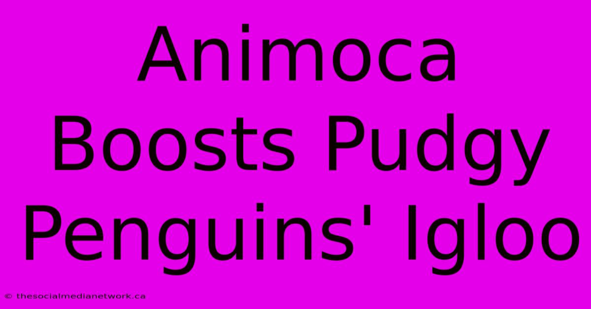 Animoca Boosts Pudgy Penguins' Igloo