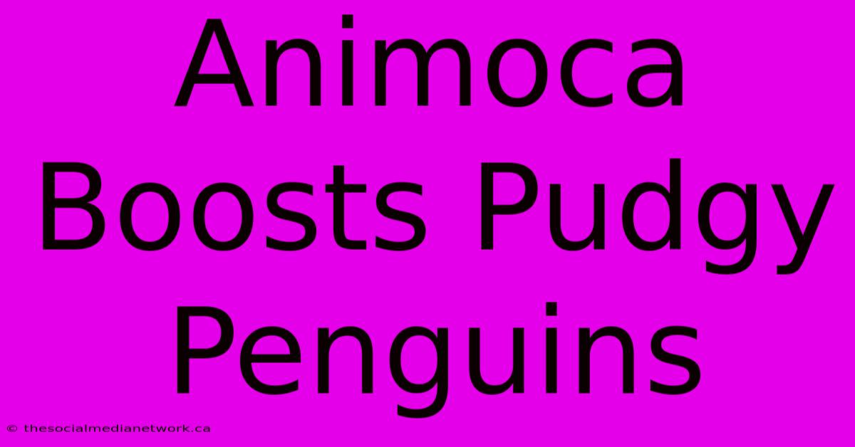 Animoca Boosts Pudgy Penguins