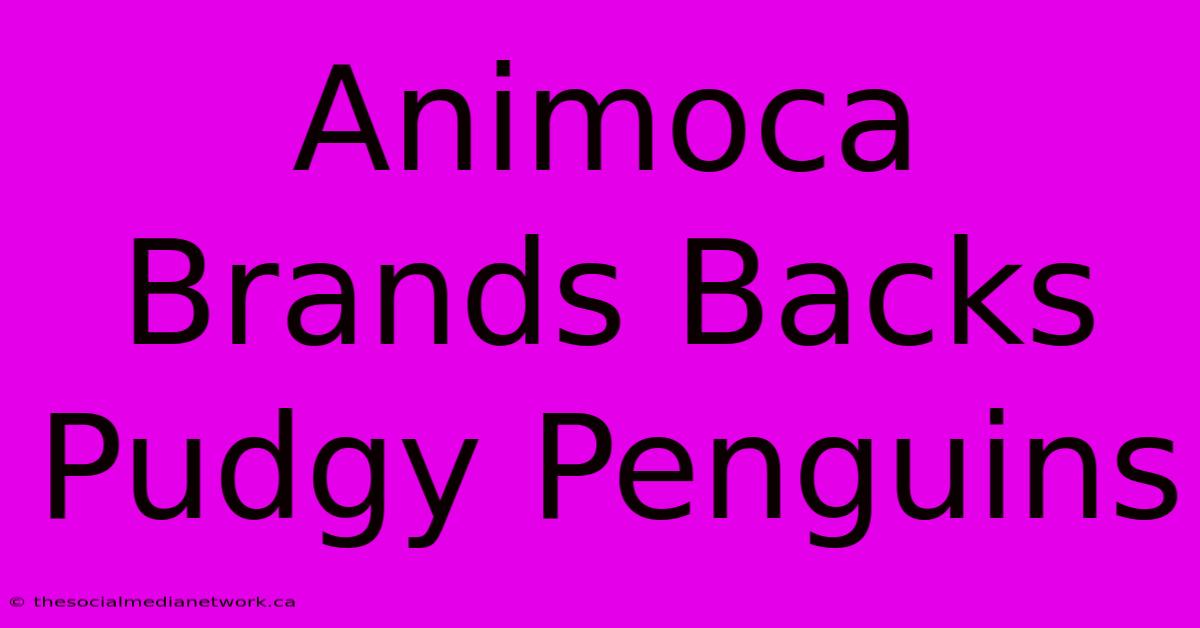 Animoca Brands Backs Pudgy Penguins