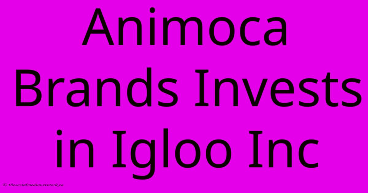 Animoca Brands Invests In Igloo Inc