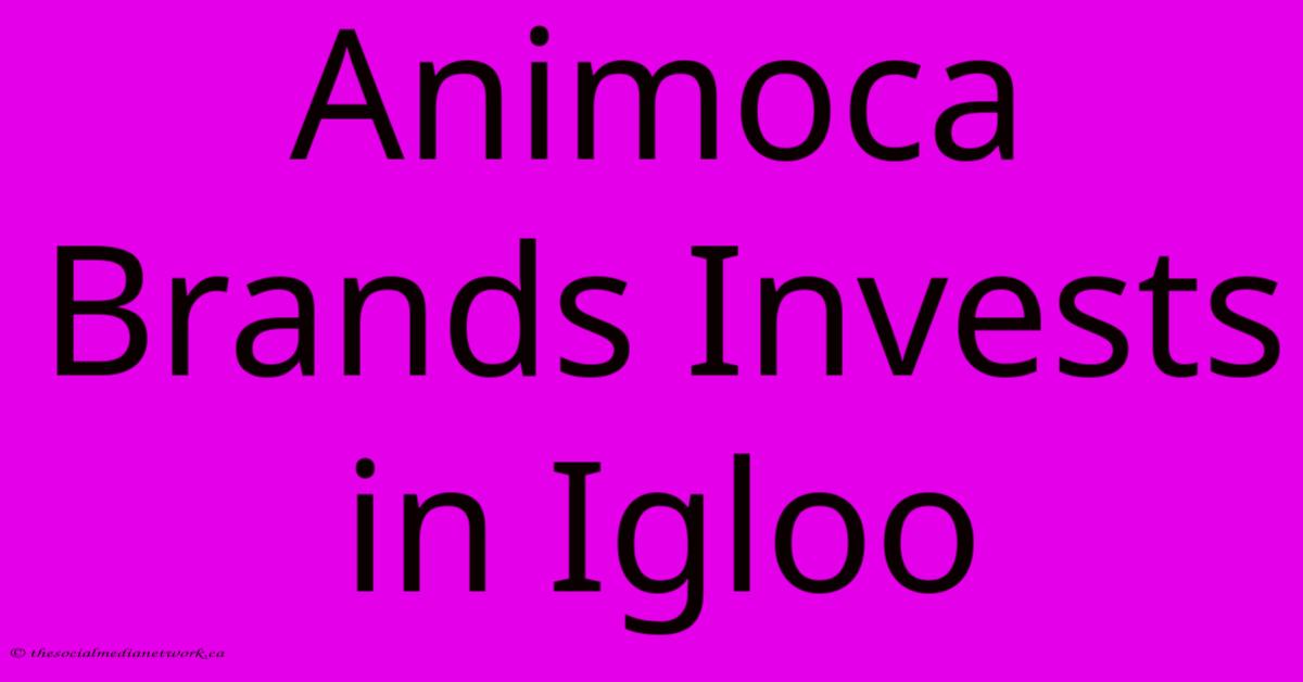 Animoca Brands Invests In Igloo