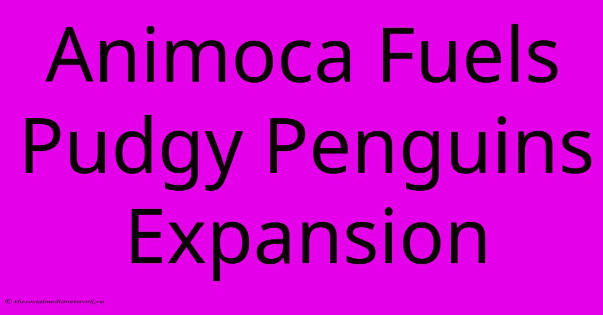 Animoca Fuels Pudgy Penguins Expansion