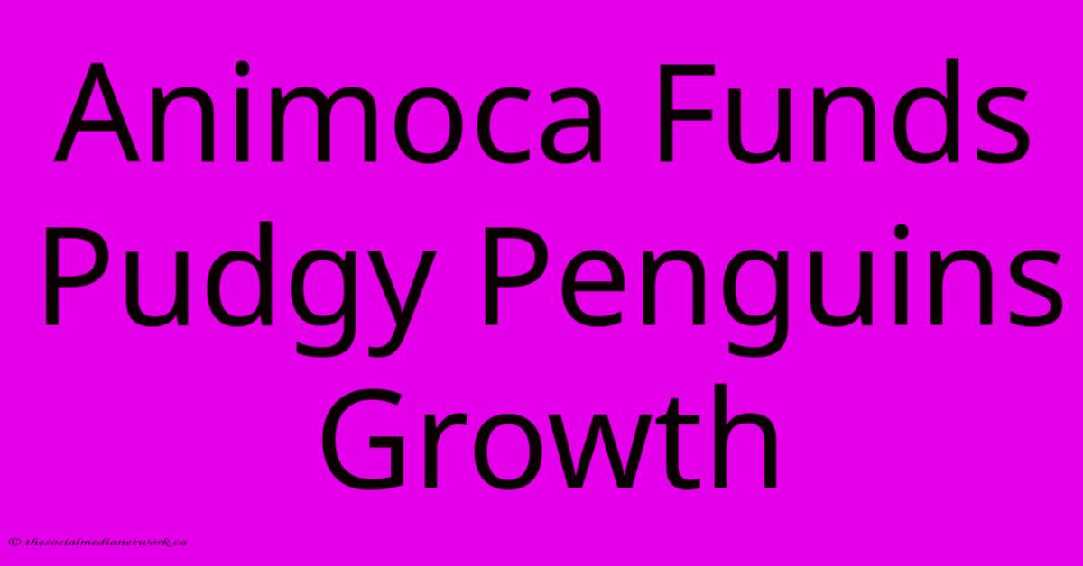 Animoca Funds Pudgy Penguins Growth