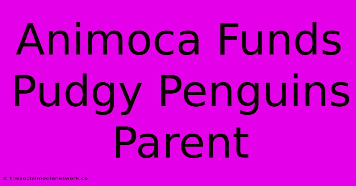 Animoca Funds Pudgy Penguins Parent