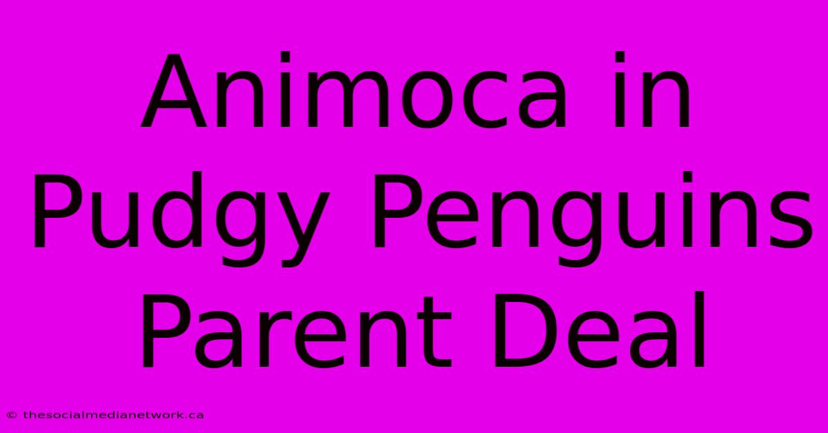 Animoca In Pudgy Penguins Parent Deal