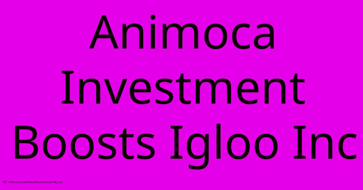 Animoca Investment Boosts Igloo Inc