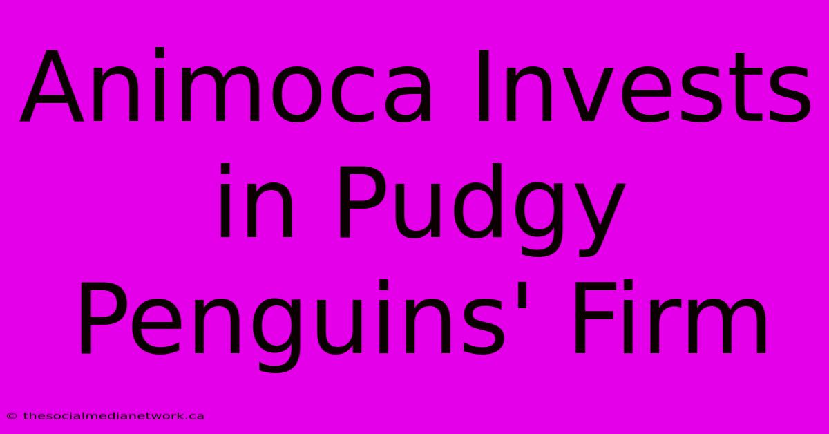 Animoca Invests In Pudgy Penguins' Firm