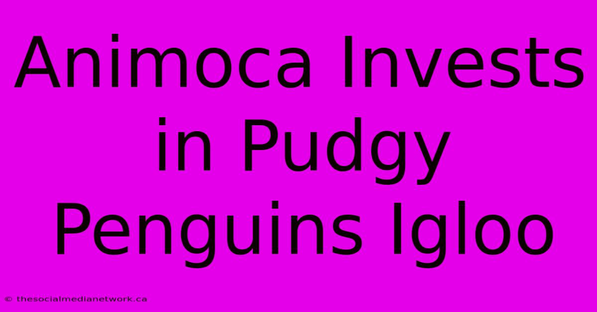 Animoca Invests In Pudgy Penguins Igloo