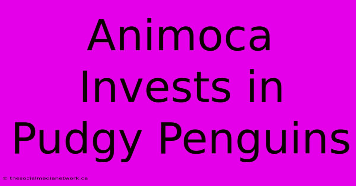 Animoca Invests In Pudgy Penguins