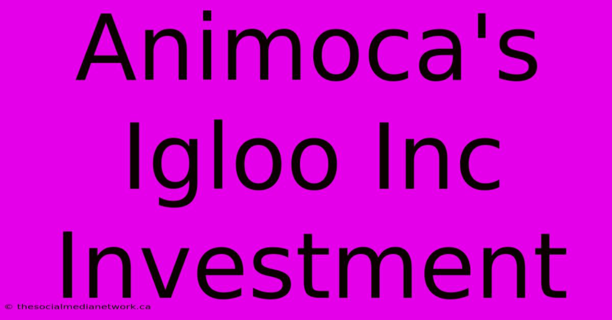 Animoca's Igloo Inc Investment