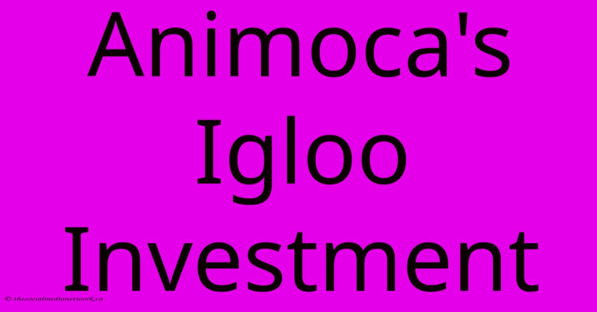 Animoca's Igloo Investment