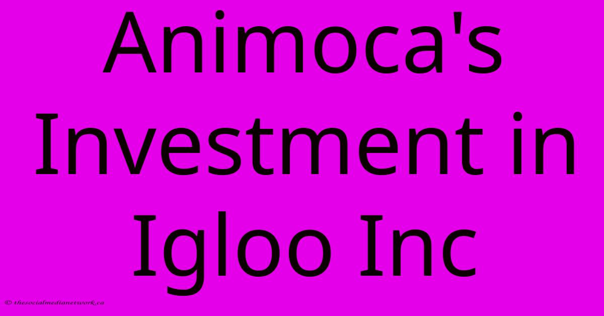 Animoca's Investment In Igloo Inc