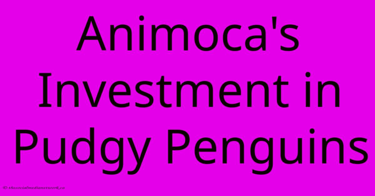 Animoca's Investment In Pudgy Penguins