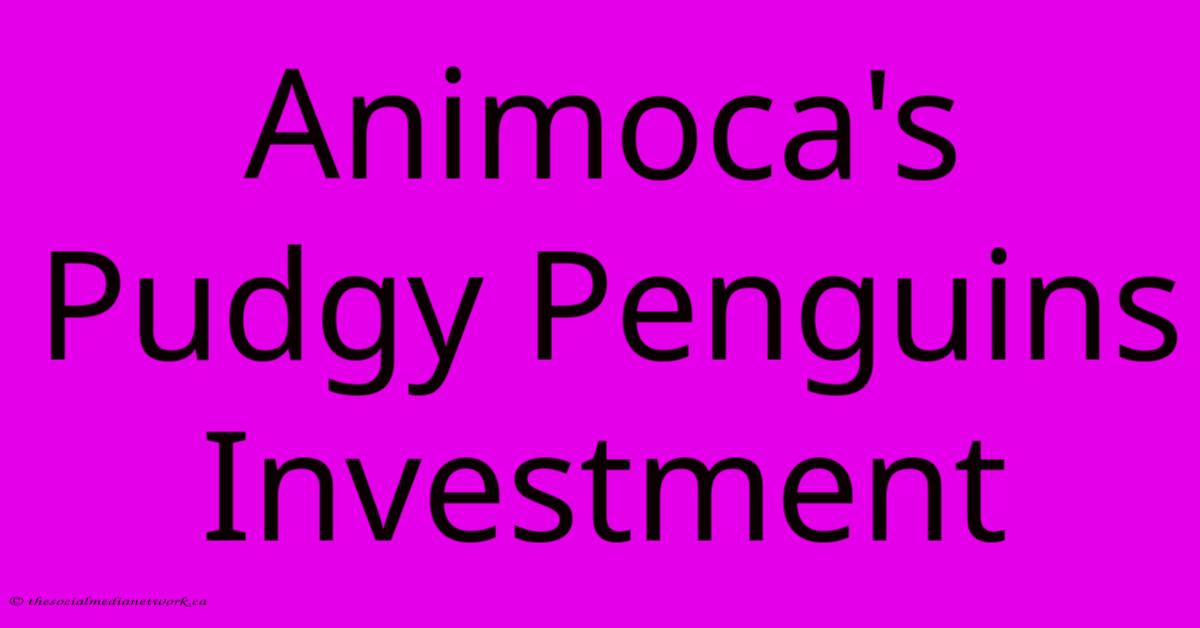 Animoca's Pudgy Penguins Investment