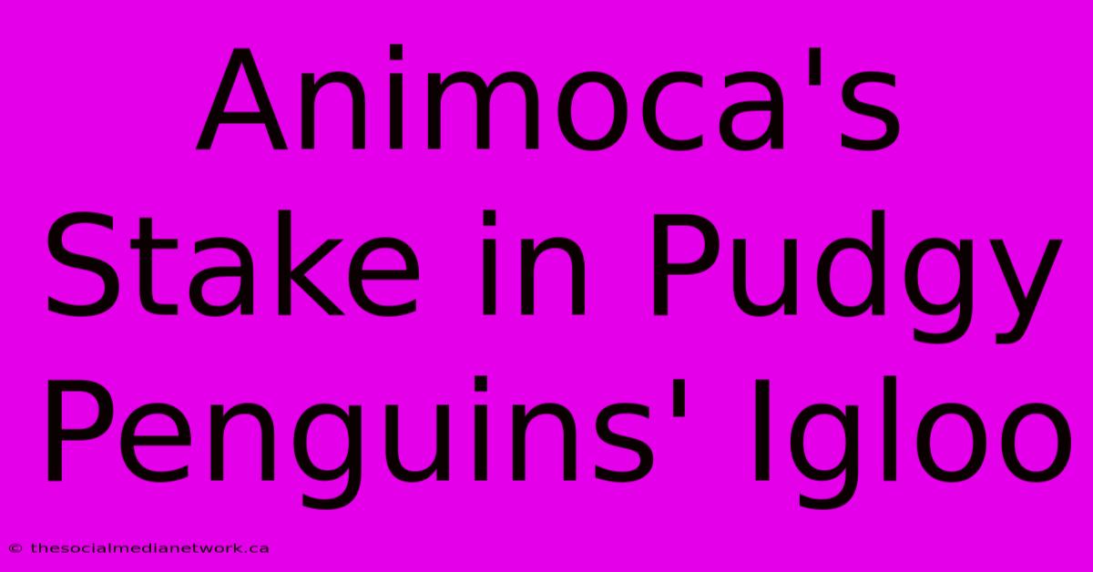 Animoca's Stake In Pudgy Penguins' Igloo