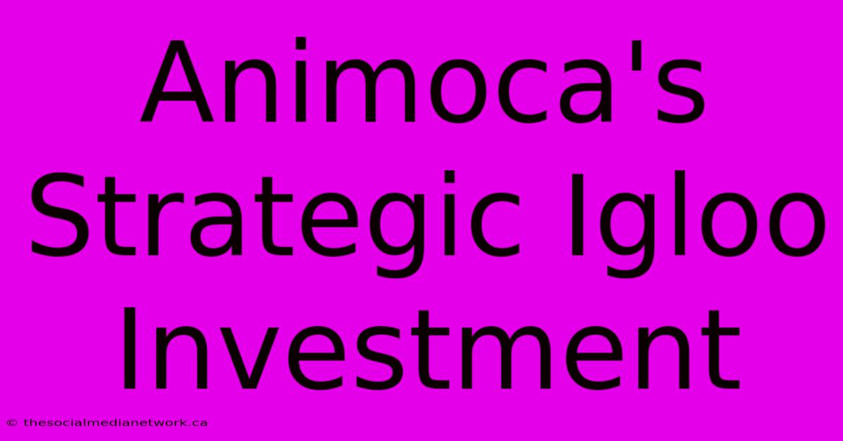 Animoca's Strategic Igloo Investment