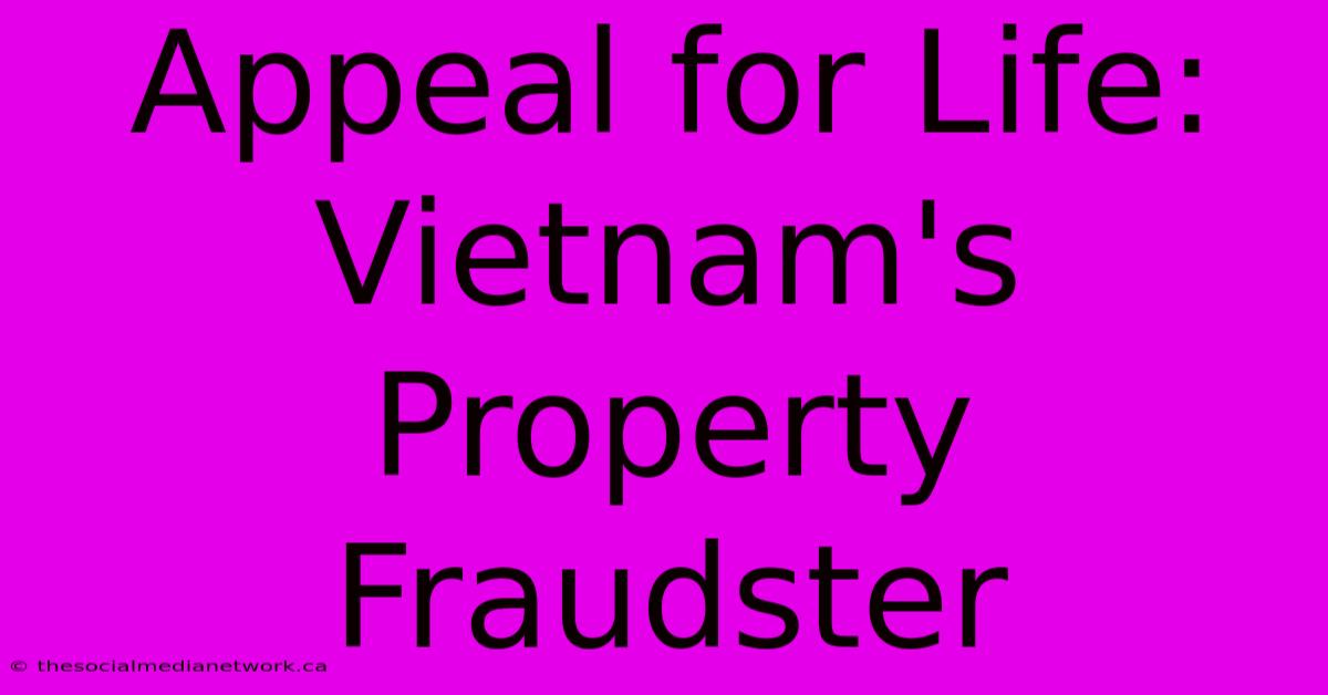 Appeal For Life: Vietnam's Property Fraudster