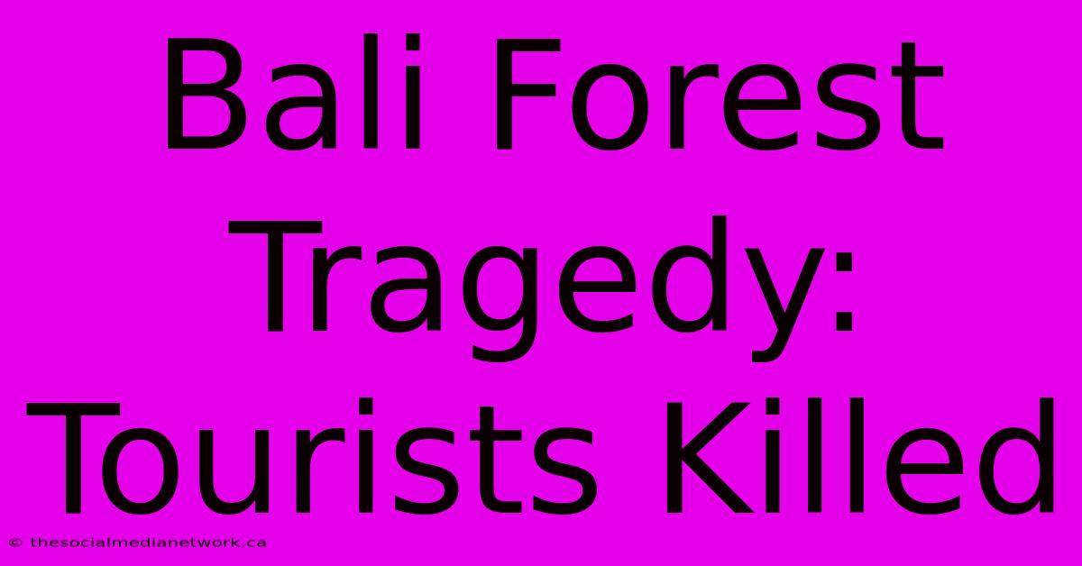 Bali Forest Tragedy: Tourists Killed