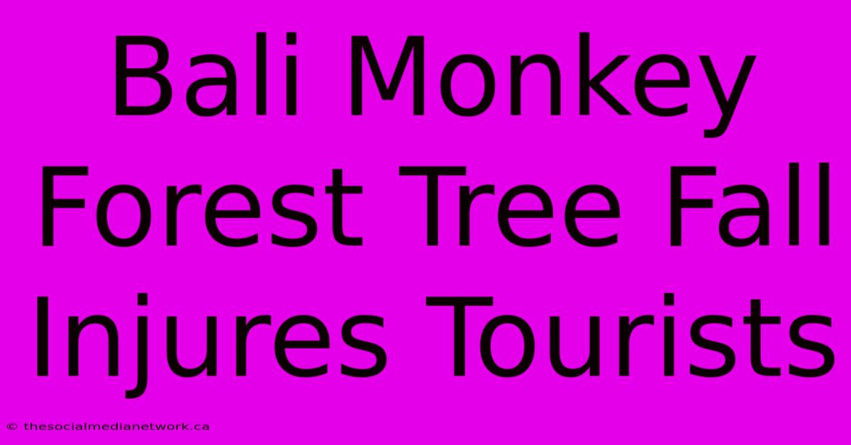 Bali Monkey Forest Tree Fall Injures Tourists