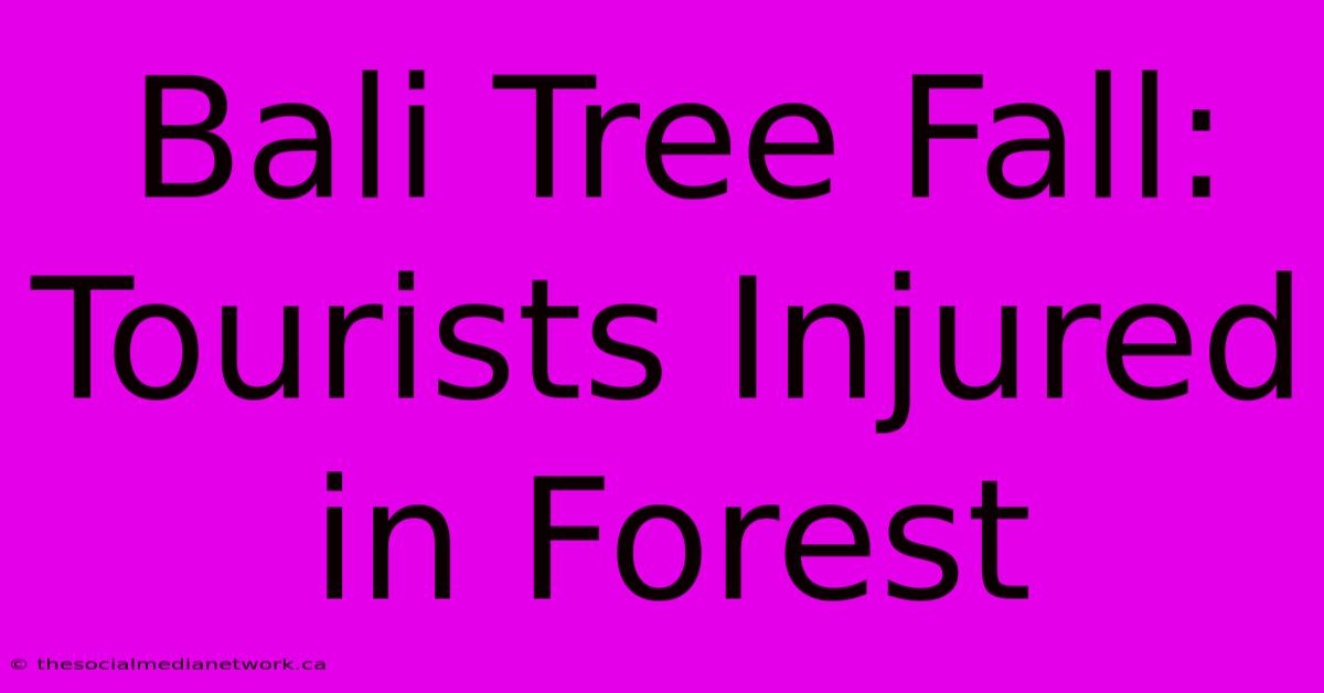 Bali Tree Fall: Tourists Injured In Forest