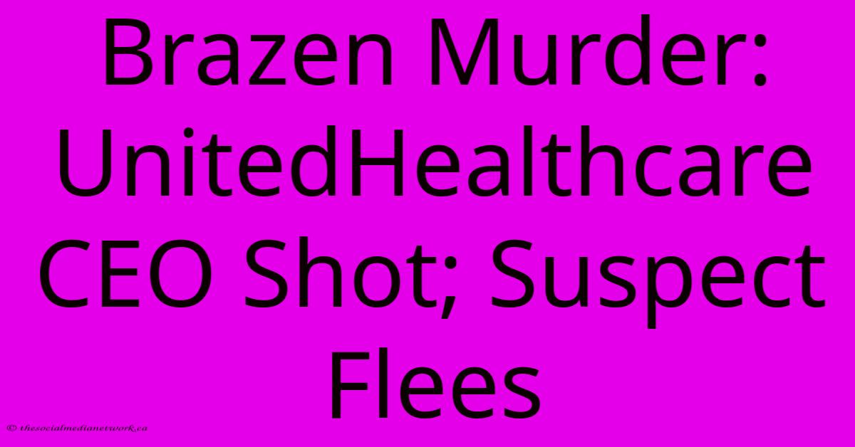 Brazen Murder: UnitedHealthcare CEO Shot; Suspect Flees