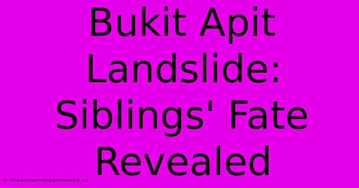 Bukit Apit Landslide: Siblings' Fate Revealed