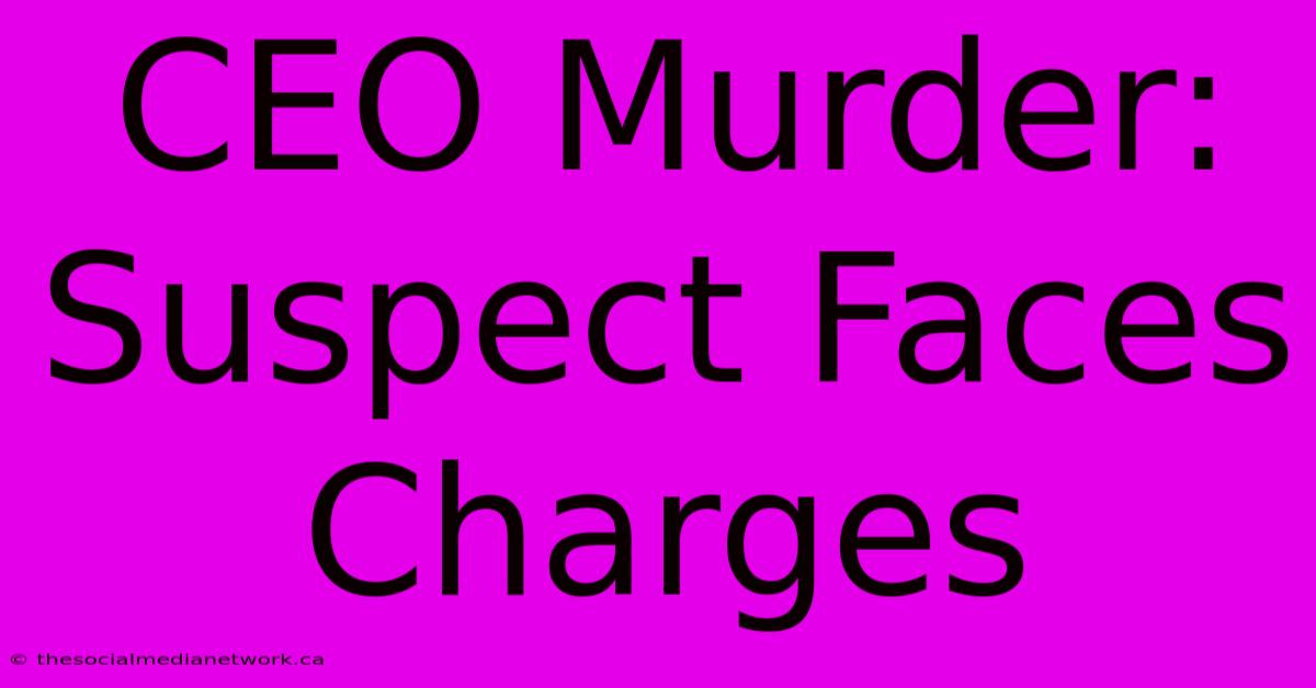 CEO Murder: Suspect Faces Charges