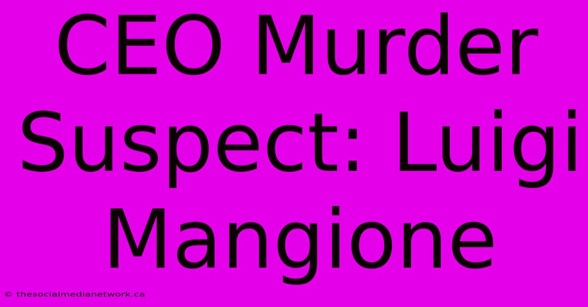 CEO Murder Suspect: Luigi Mangione