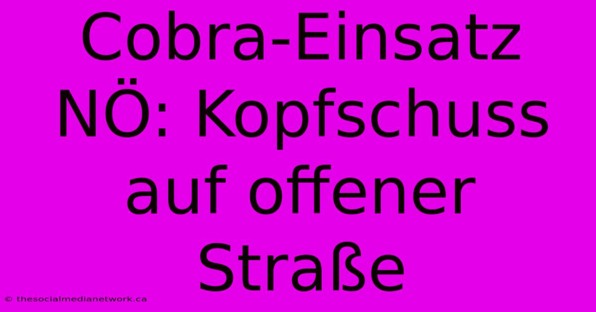 Cobra-Einsatz NÖ: Kopfschuss Auf Offener Straße