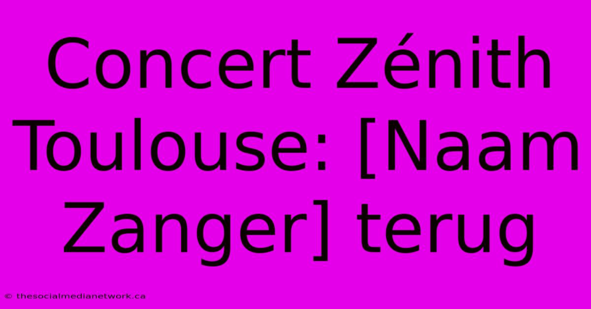 Concert Zénith Toulouse: [Naam Zanger] Terug