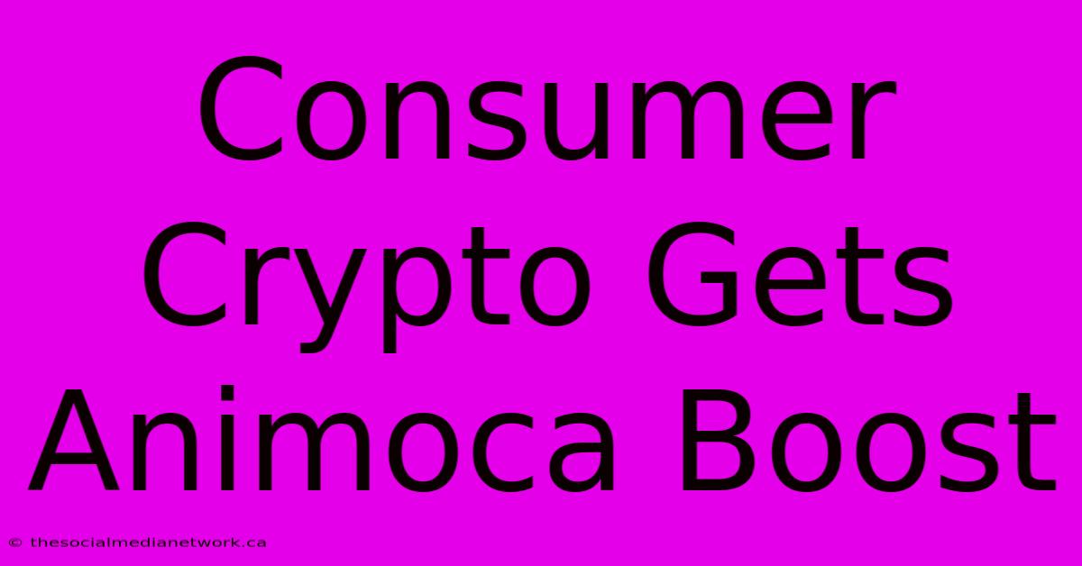 Consumer Crypto Gets Animoca Boost