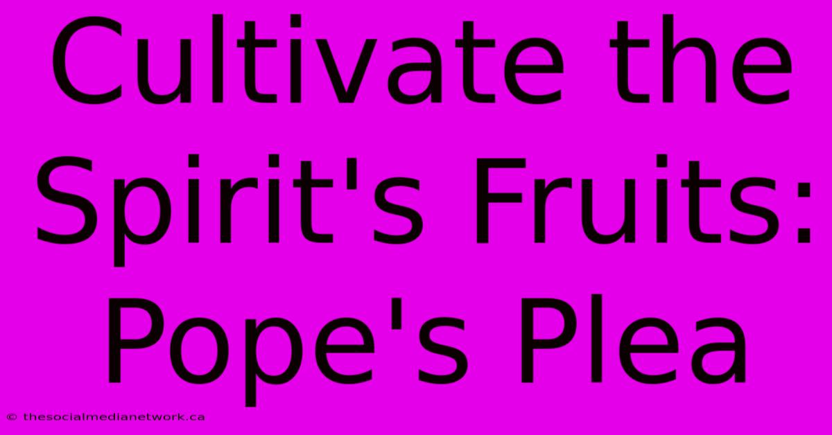 Cultivate The Spirit's Fruits: Pope's Plea