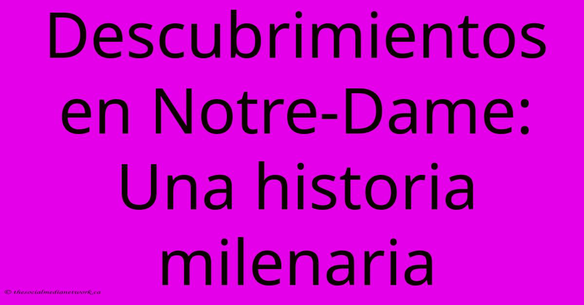 Descubrimientos En Notre-Dame: Una Historia Milenaria Descubrimientos En Notre-Dame: Una Historia Milenaria