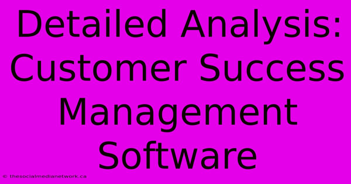 Detailed Analysis: Customer Success Management Software