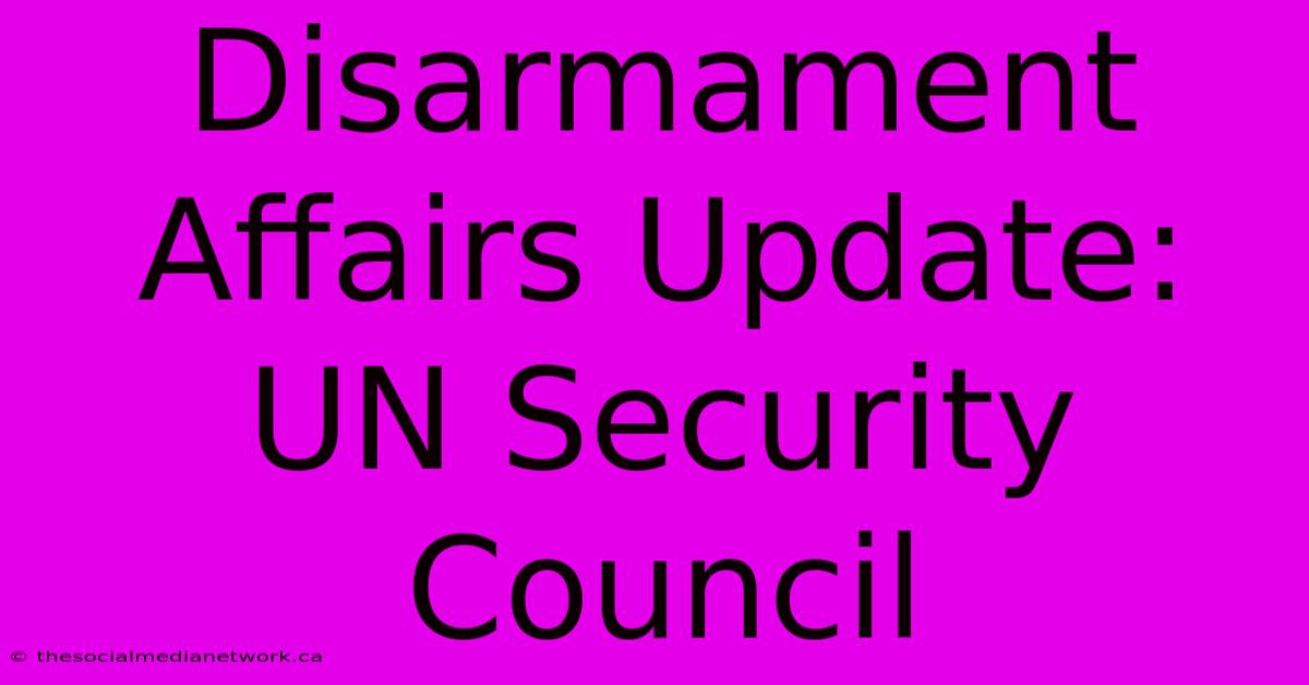 Disarmament Affairs Update: UN Security Council