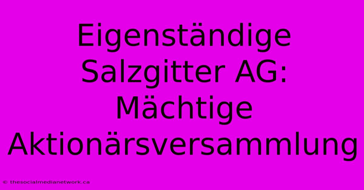 Eigenständige Salzgitter AG:  Mächtige Aktionärsversammlung