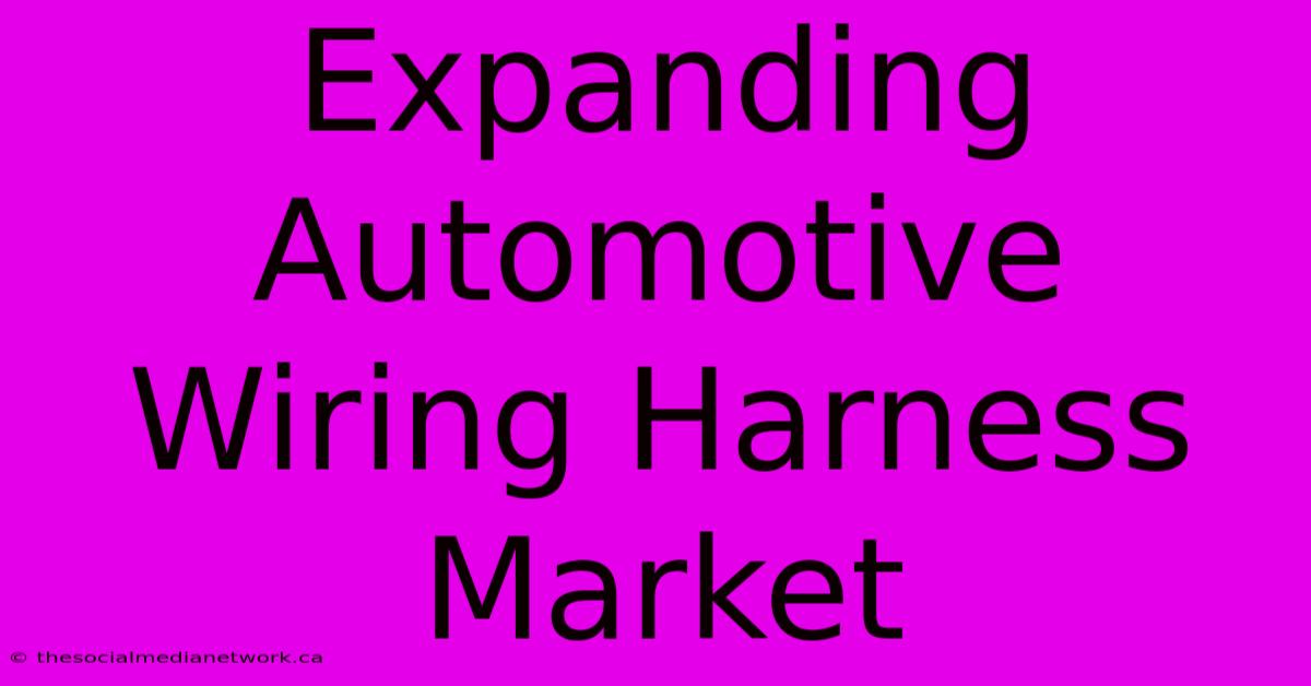 Expanding Automotive Wiring Harness Market