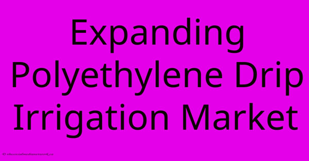 Expanding Polyethylene Drip Irrigation Market Expanding Polyethylene Drip Irrigation Market