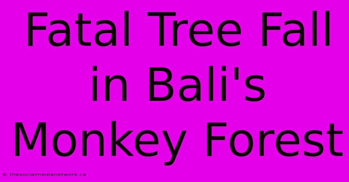 Fatal Tree Fall In Bali's Monkey Forest