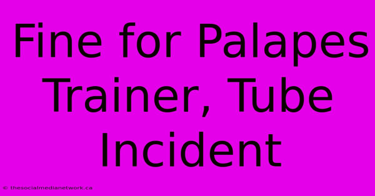 Fine For Palapes Trainer, Tube Incident