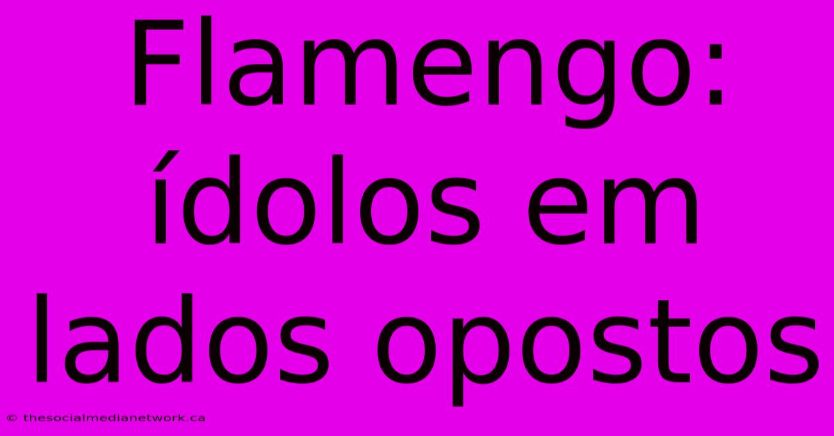 Flamengo: Ídolos Em Lados Opostos