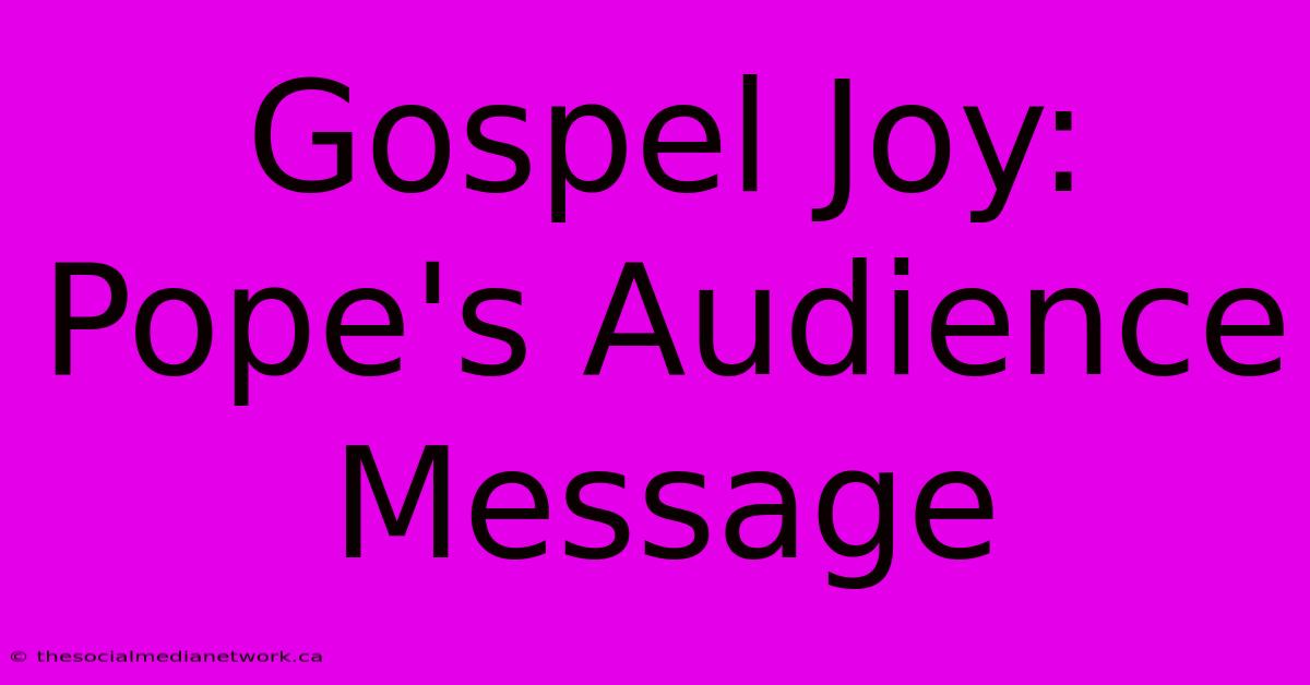 Gospel Joy: Pope's Audience Message