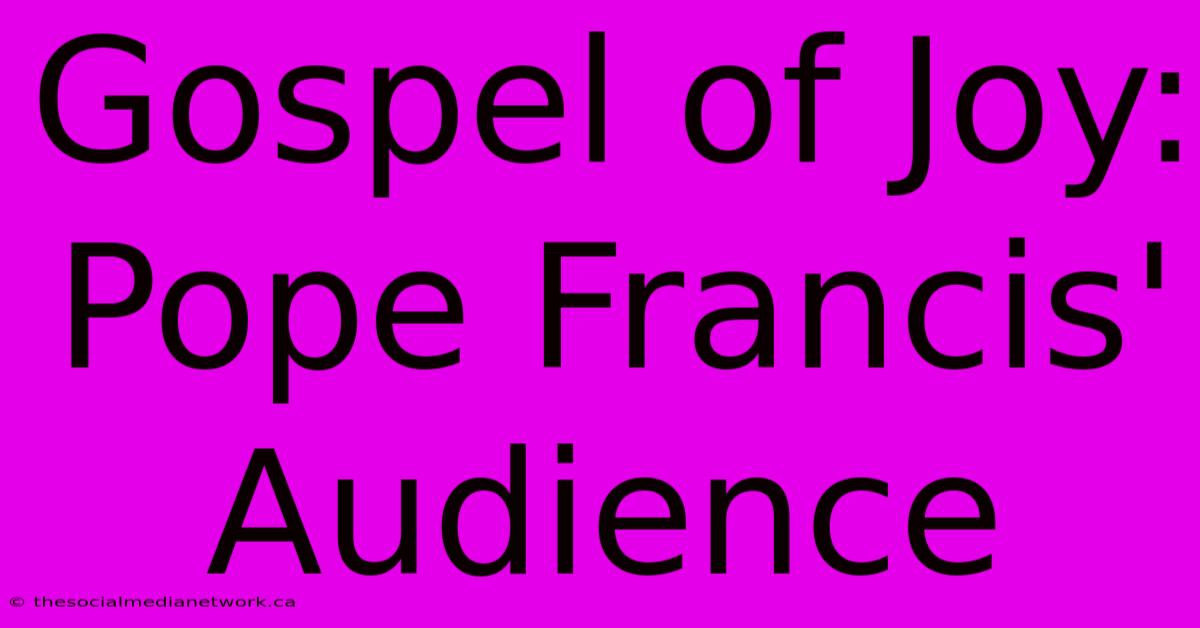 Gospel Of Joy: Pope Francis' Audience