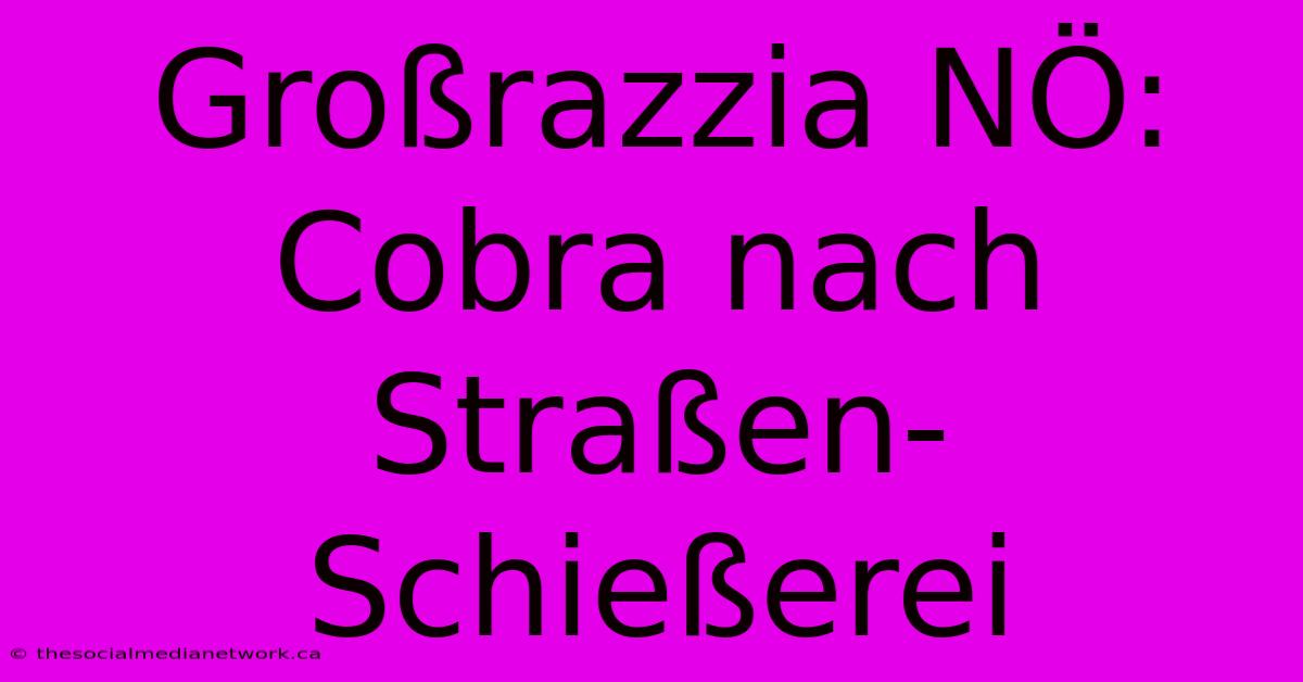 Großrazzia NÖ: Cobra Nach Straßen-Schießerei